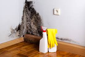 Best Mold Removal for HVAC Installations  in London, KY